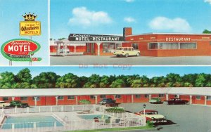 AR, Springdale, Arkansas, Springdale Motel, Swimming Pool, MWM No 42,890F