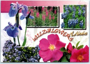 Postcard - Wildflowers of Alaska