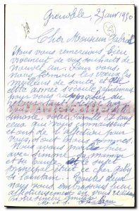 Old Postcard Grenoble Le Jardin De Ville