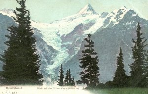 Vintage Postcard Grindelwald Blick Auf Das Schreckhorn Switzerland