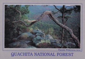 Arkansas Quachita National Forest Flatside Wilderness Area