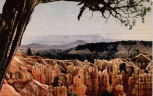 Bryce Canyon National Park, Utah, Union Pacific Railroad Pictorial Postcard F23