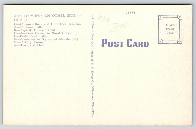 North Carolina~State Large Letter Linen Postcard~Dark Night~Johnson Birthplace 