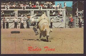 Rodeo Time,Steer Postcard BIN