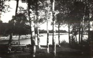 Milbridge ME Picnic Area on Ocean Real Photo Postcard