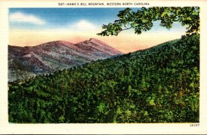 North Carolina Hawk's Bill Mountain