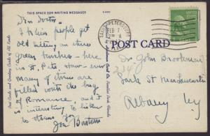 On the Green Benches,St Petersburg,FL