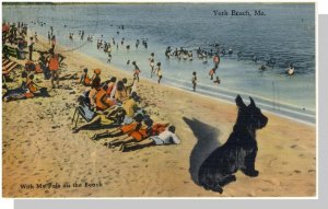 York Beach, Maine/ME Postcard, Bathers/Terrier Dog