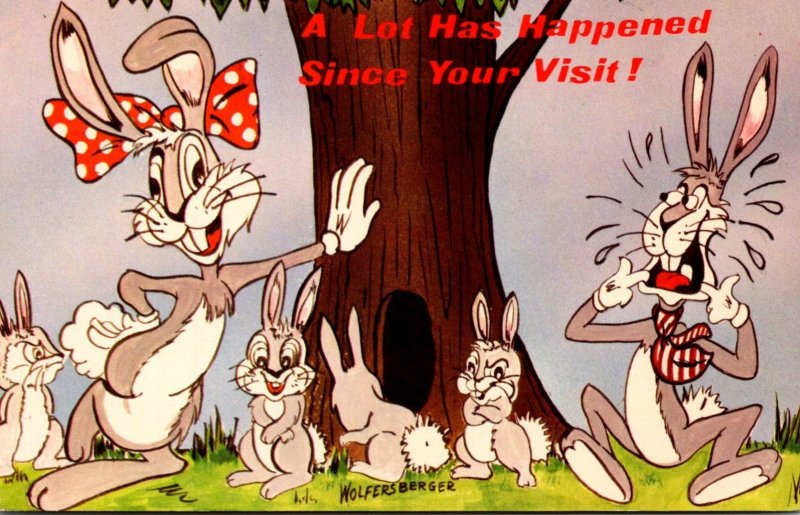 Humour Rabbits A Lot Has Happened Since Your Last Visit