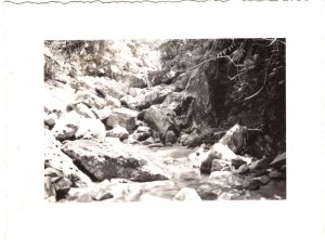 El Yonque Forest, Porto Rico (2 ) 1940s Photographs approx. 3 X 4 in