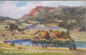 Northern Ireland Postcard - Belfast Pond & Cave Hill, Artist E.W.Trick DC2169