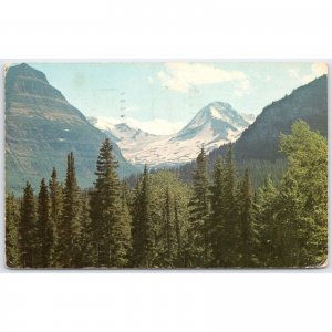 Postcard Jackson Glacier Mount Jackson Logan Pass Highway Montana
