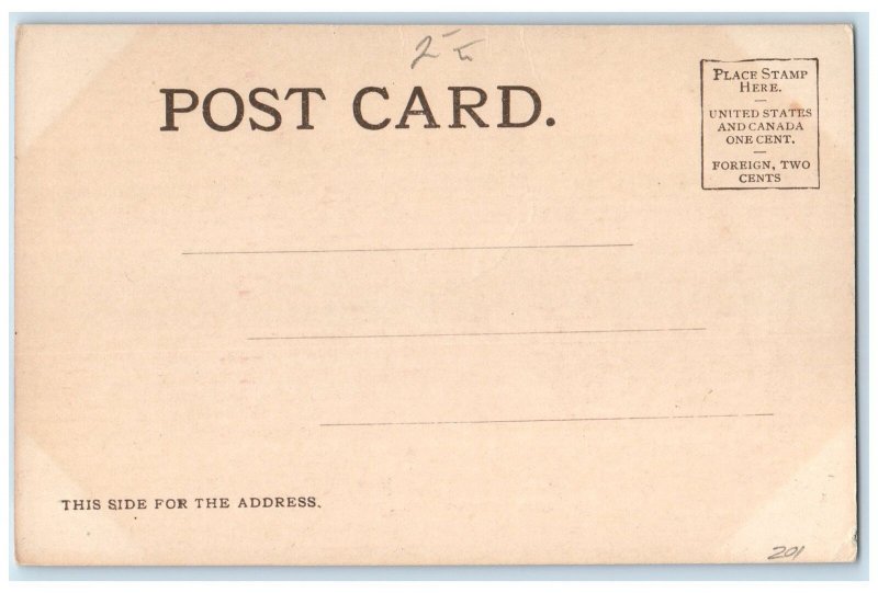 c1905 West Side High School Campus Building Side View Aurora Illinois Postcard