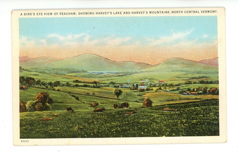 VT - Peacham. Bird's Eye View showing Harvey's Lake & Mountains