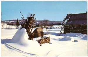 Winter Scene, Canada, Vintage 1971 Chrome Postcard