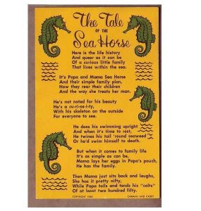 The Tale of the Sea Horse poem postcard