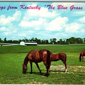 1958 Lexington, KY Greetings from Blue Grass State Race Horses Stock Farms A238