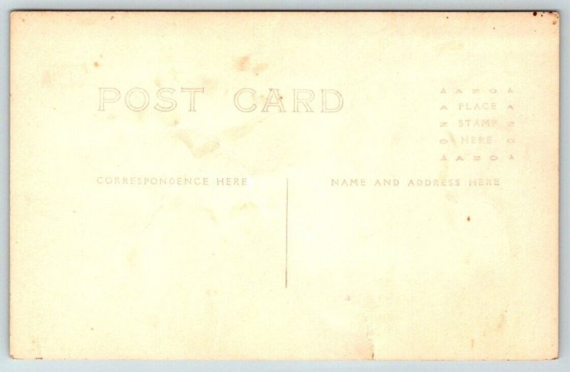 RPPC  Cleveland Oak Tree  Jungle Gardens  Florida  Postcard