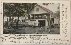 Swimming Pool Clay Springs, Apopka, FL Wekiwa Springs 1906 Rare Vintage Postcard