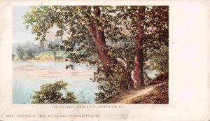 The Big Eddy Ohio River Louisville Kentucky 1902c Private Mailing Card postcard