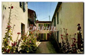 Ile de Re - Le Bois - A beautiful alley - Old Postcard
