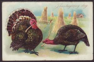 Thanksgiving Day,Turkeys Pulling Wishbone Postcard
