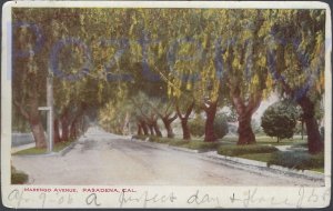 MARENGO AVENUE 1906 PASADENA CALIFORNIA