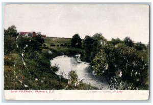 c1920's Aberdeen South Dakota SD Lincoln's Ranch Creek Cow View Antique Postcard