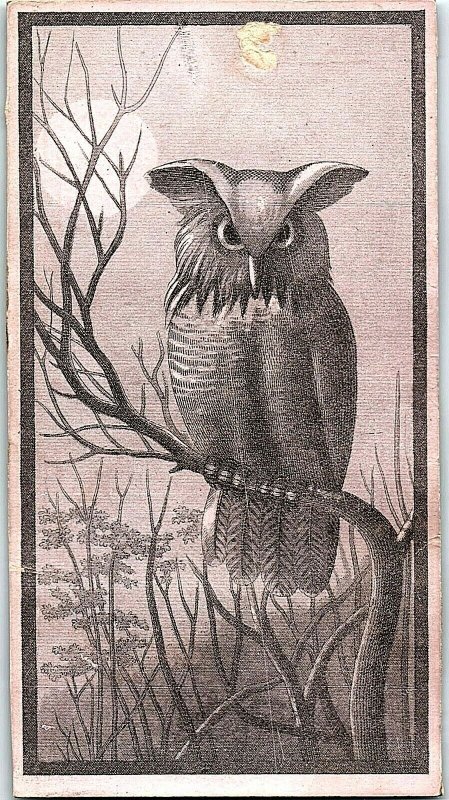 1870's Engraved Concert Program Card King Carl March Owl Moon Tree Night  P147 