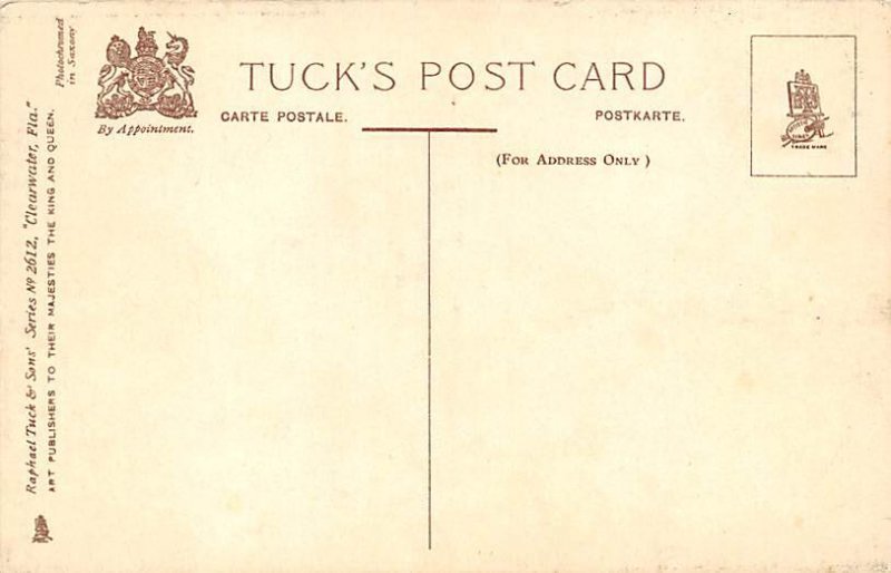 Street Scene  Clearwater FL 