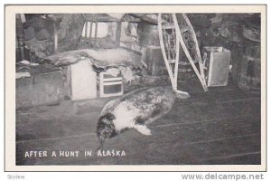 After a Hunt in Alaska, 10-20s