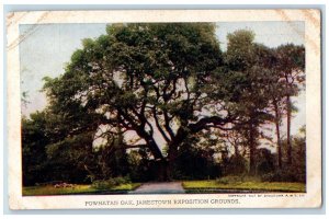 1907 Powhatan Oak Jamestown Exposition Grounds Old Tree Norfolk VA Postcard