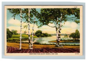 Scenic Greetings from Mount Morris NY c1950 Linen Postcard K23 