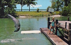 Miami FL, Flipper, TV Porpoise, Beautiful Woman, Swimsuit, 1960s Seaquarium