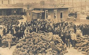 Tarpon Springs FL Large Group With Sponges Real Photo Postcard