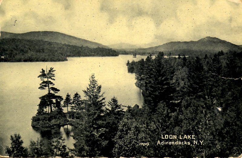 NY - Adirondacks, Loon Lake     (creases)