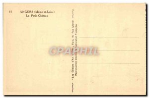 Old Postcard Angers Le Petit Chateau
