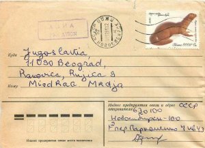 Russia Russia Entier Postal Stationery