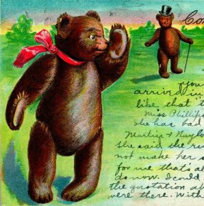 Vtg Postcard 1907 UDB Anamorphic Teddy Bears Come Birdie Come Embossed