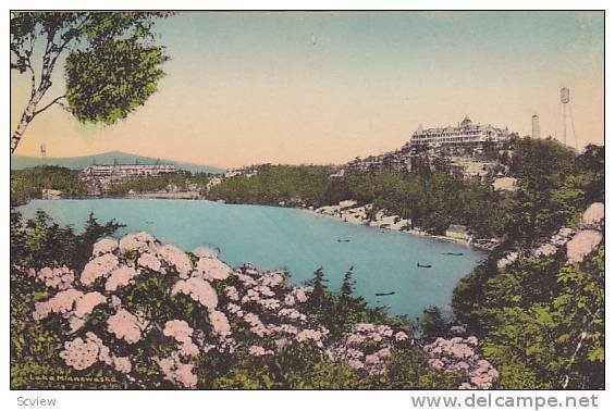 Lake Minnewaska Mountain Houses, New York, PU-1950