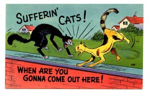 Humor - Sufferin' cats!