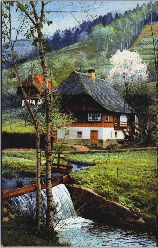 Germany Schwarzwald Kirnbachtal Kirnbach Black Forest Vintage Postcard C067