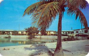 Key West Florida Hilton Haven Motel Waterfront Vintage Postcard K64138