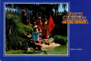 Florida Tampa Busch Gardens Beautiful Belly Dancers