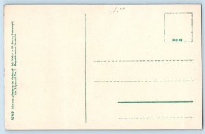 Prahova Romania Postcard Busteni Tunelul C.F.R. c1910 Antique Unposted