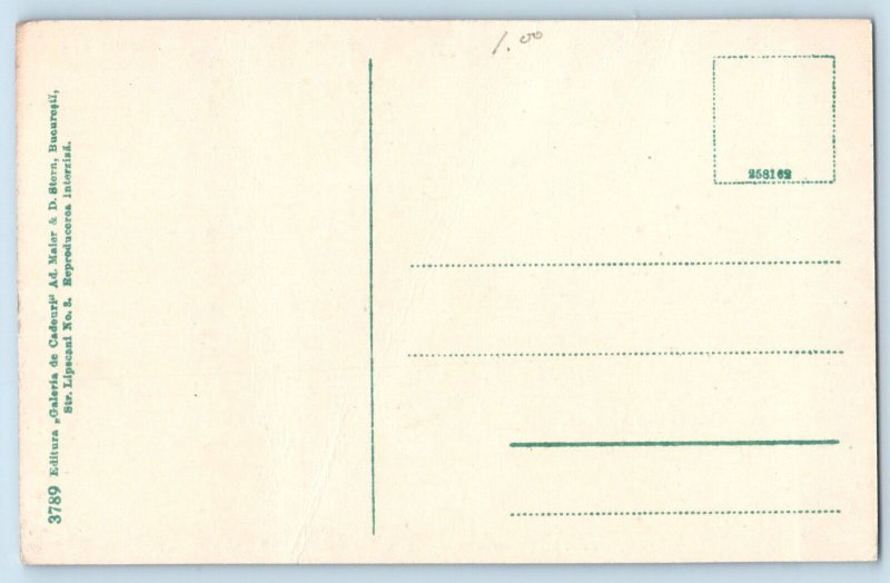 Prahova Romania Postcard Busteni Tunelul C.F.R. c1910 Antique Unposted