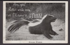 Wisconsin Minocqua - Hey you! Better write soon or I'll raise a STINK RPPC