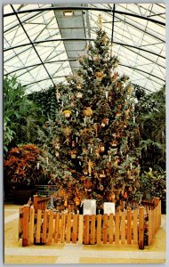 Cincinnati Ohio 1960s Postcard Educational Christmas Tree Krohn Conservatory