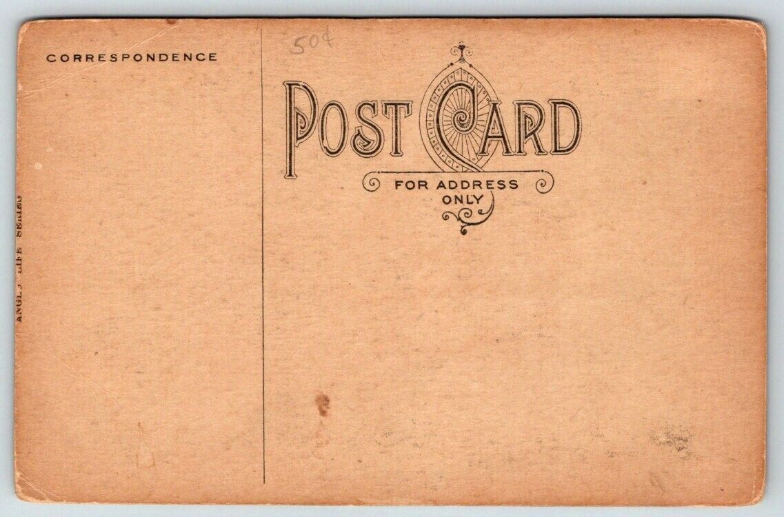 Vintage Saucy Cartoon Humor Postcard What Does Dogma Mean? Other