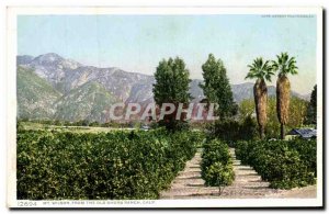 Postcard From The Old Mt Wilson Calif Old Ranch Shorb